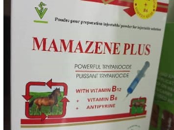 Mamazine plus